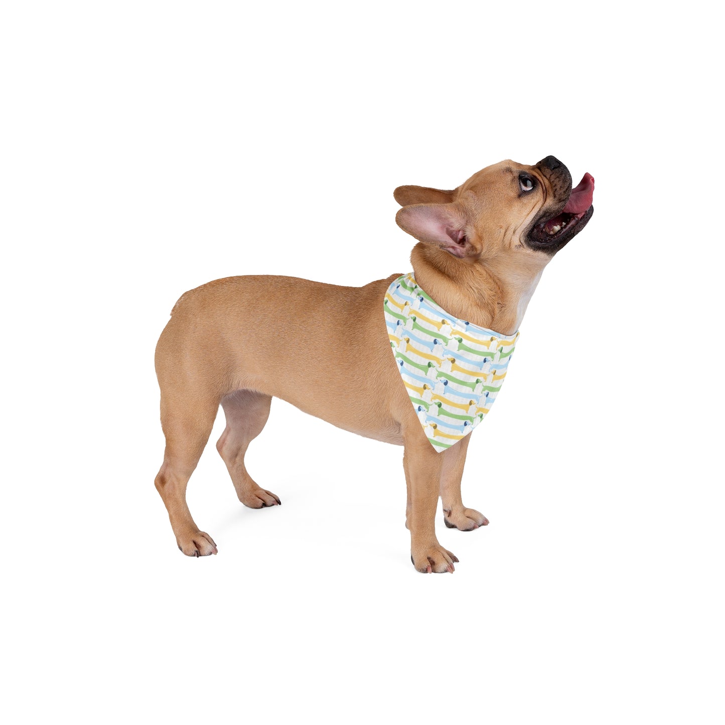 Dog Bandana Doxie Design