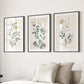 Meadow Flower Watercolor Wall Art Poster Set