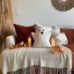 Sherpa Ghost Pillow