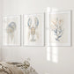 Ocean Animal Prints. Jellyfish, Lobster, Corals Wall Art