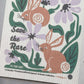 Pigmy Rabbit Swedish Dishcloth Sets